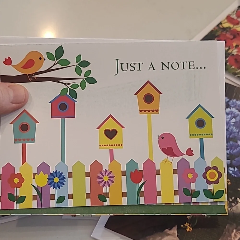 Colorful Blank Greeting Card Set
